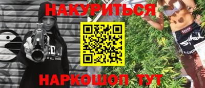 крисы Брянск