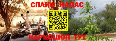 крисы Брянск