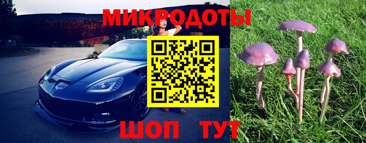 Старый Оскол  Псилоцибиновые грибы Psilocybine cubensis  Вход с VPN 