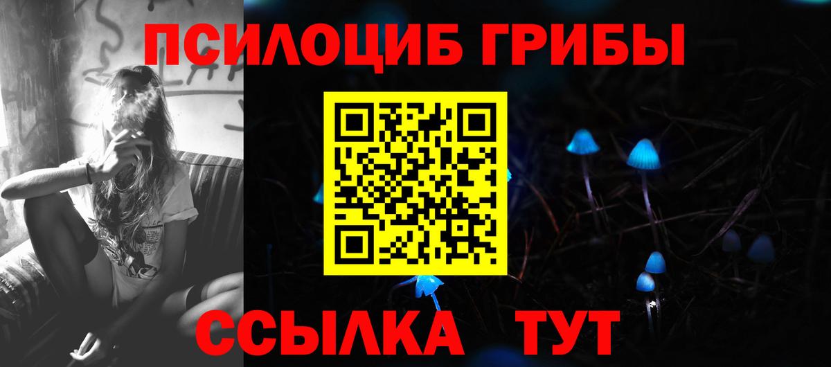 Галлюциногенные грибы Psilocybe Старый Оскол